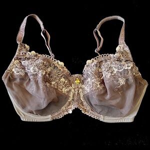 CRÈME BRALEE~Elegant Lace Embroidered Bra - Violet